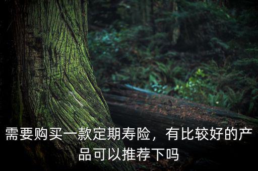 需要購買一款定期壽險，有比較好的產品可以推薦下嗎