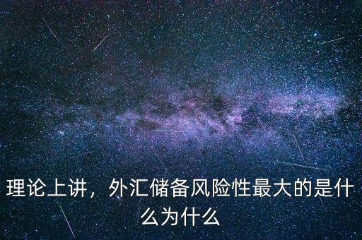 理論上講，外匯儲備風險性最大的是什么為什么