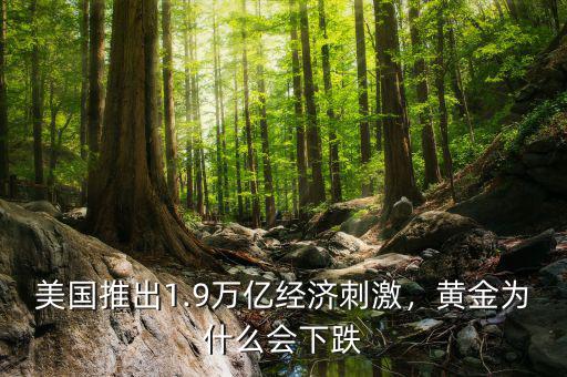 美國推出1.9萬億經(jīng)濟(jì)刺激，黃金為什么會下跌