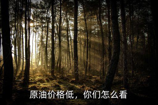 原油價(jià)格低，你們?cè)趺纯? class=