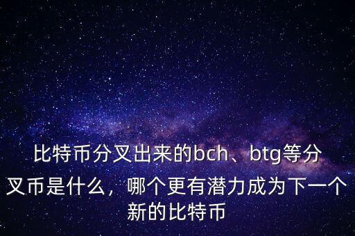 比特幣分叉出來的bch、btg等分叉幣是什么，哪個(gè)更有潛力成為下一個(gè)新的比特幣