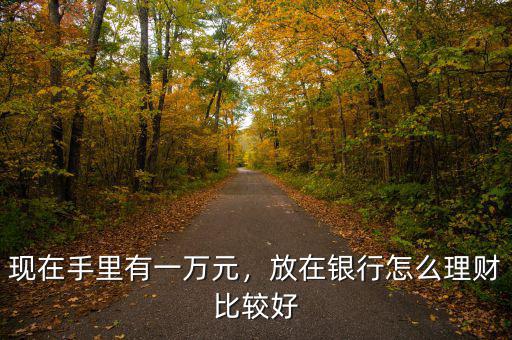 現(xiàn)在手里有一萬元，放在銀行怎么理財比較好