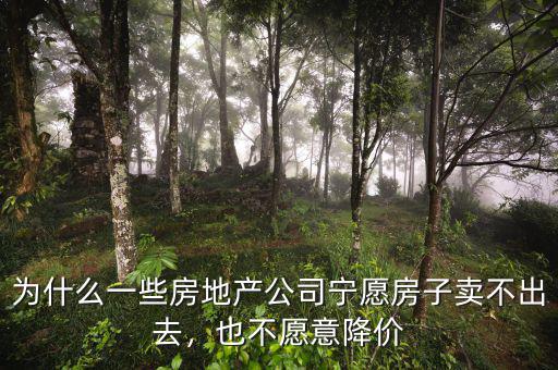 為什么一些房地產(chǎn)公司寧愿房子賣不出去，也不愿意降價(jià)