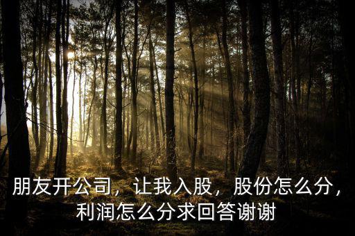 朋友開(kāi)公司，讓我入股，股份怎么分，利潤(rùn)怎么分求回答謝謝