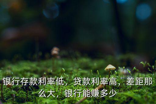 銀行存款利率低，貸款利率高，差距那么大，銀行能賺多少