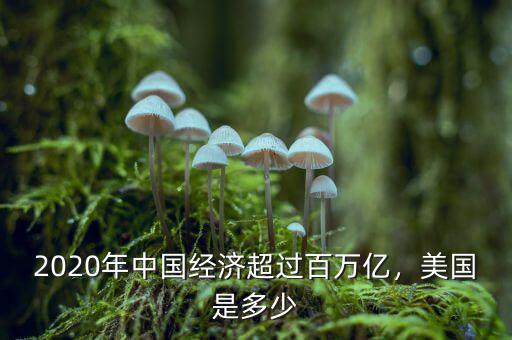 2020年中國經濟超過百萬億，美國是多少