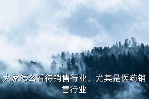 大家怎么看待銷售行業(yè)，尤其是醫(yī)藥銷售行業(yè)