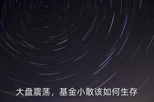 大盤震蕩，基金小散該如何生存