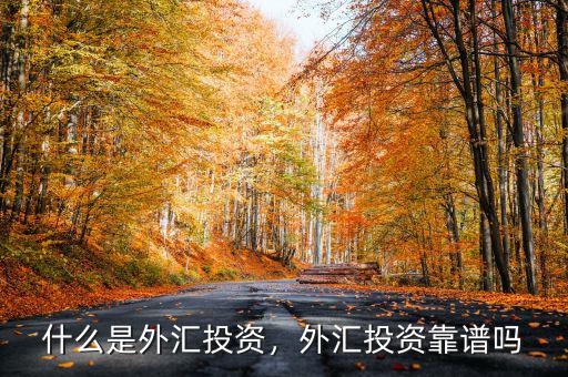 什么是外匯投資，外匯投資靠譜嗎