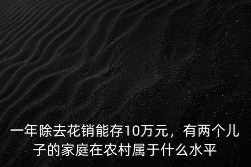 一年除去花銷能存10萬元，有兩個兒子的家庭在農(nóng)村屬于什么水平