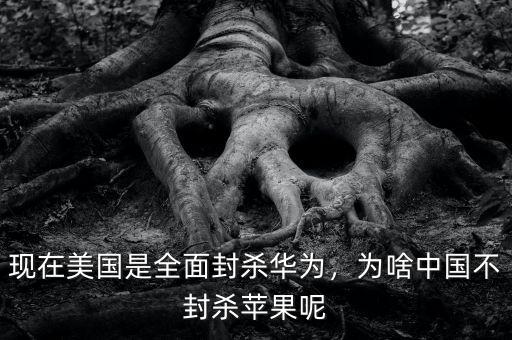 現(xiàn)在美國是全面封殺華為，為啥中國不封殺蘋果呢