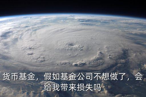 貨幣基金，假如基金公司不想做了，會(huì)給我?guī)?lái)?yè)p失嗎