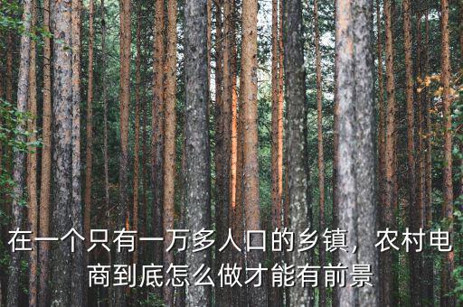 在一個(gè)只有一萬多人口的鄉(xiāng)鎮(zhèn)，農(nóng)村電商到底怎么做才能有前景