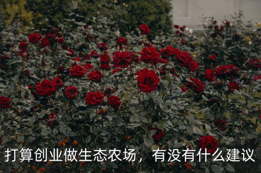 打算創(chuàng)業(yè)做生態(tài)農(nóng)場(chǎng)，有沒有什么建議