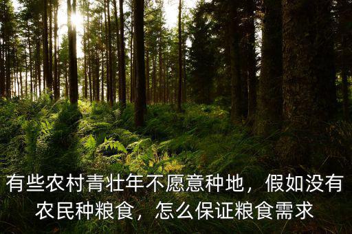 有些農(nóng)村青壯年不愿意種地，假如沒有農(nóng)民種糧食，怎么保證糧食需求