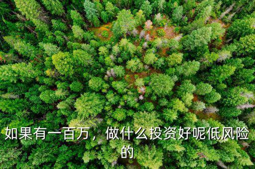 如果有一百萬，做什么投資好呢低風(fēng)險(xiǎn)的