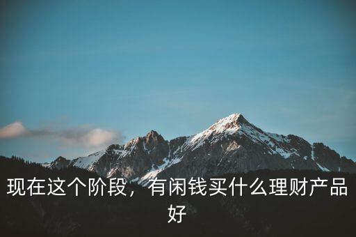 現(xiàn)在這個(gè)階段，有閑錢(qián)買(mǎi)什么理財(cái)產(chǎn)品好