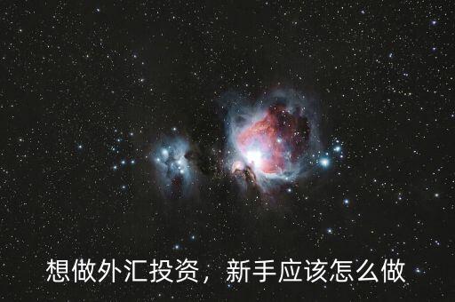 想做外匯投資，新手應(yīng)該怎么做