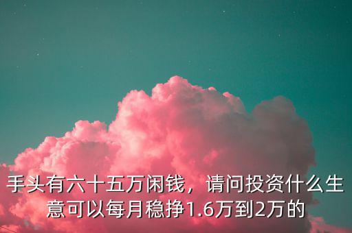 手頭有六十五萬(wàn)閑錢(qián)，請(qǐng)問(wèn)投資什么生意可以每月穩(wěn)掙1.6萬(wàn)到2萬(wàn)的