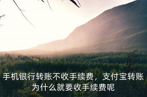 手機銀行轉(zhuǎn)賬不收手續(xù)費，支付寶轉(zhuǎn)賬為什么就要收手續(xù)費呢