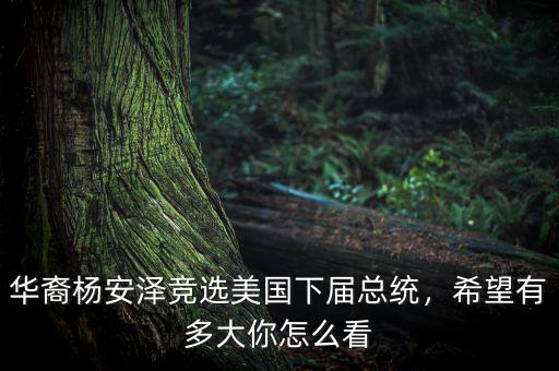 華裔楊安澤競(jìng)選美國(guó)下屆總統(tǒng)，希望有多大你怎么看