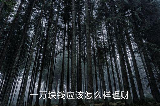 一萬元怎么理財(cái),如果手里有一萬元要如何理財(cái)