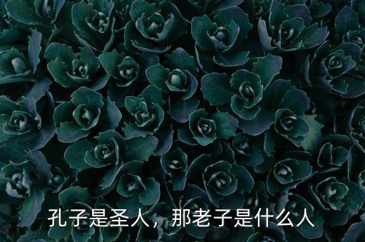 孔子是圣人，那老子是什么人