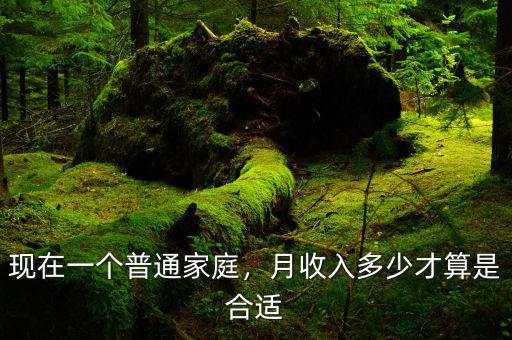 現(xiàn)在一個(gè)普通家庭，月收入多少才算是合適