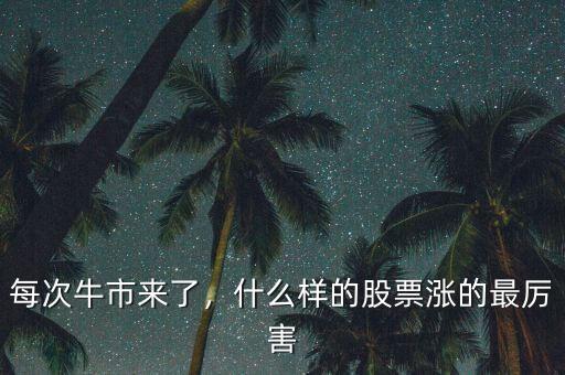 每次牛市來了，什么樣的股票漲的最厲害