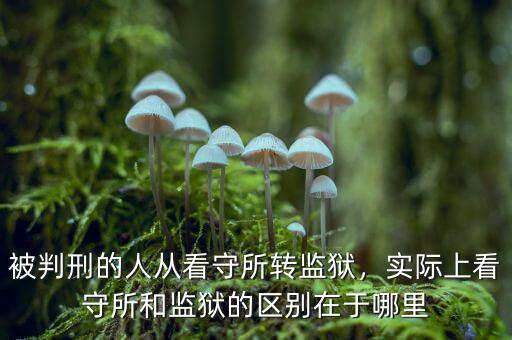 被判刑的人從看守所轉(zhuǎn)監(jiān)獄，實際上看守所和監(jiān)獄的區(qū)別在于哪里