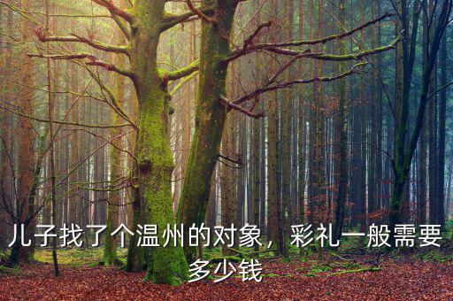 兒子找了個溫州的對象，彩禮一般需要多少錢