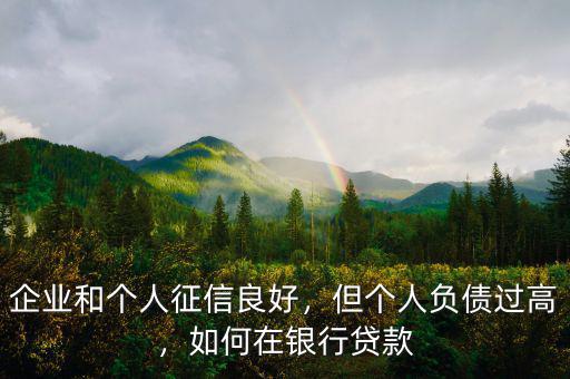企業(yè)和個人征信良好，但個人負債過高，如何在銀行貸款