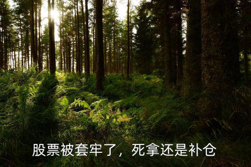股票被套牢了，死拿還是補倉