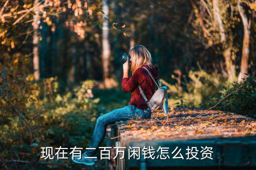 現(xiàn)在有二百萬(wàn)閑錢怎么投資