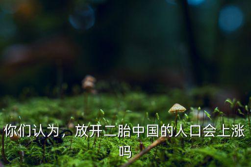 你們認(rèn)為，放開二胎中國(guó)的人口會(huì)上漲嗎
