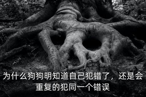 為什么狗狗明知道自己犯錯(cuò)了，還是會(huì)重復(fù)的犯同一個(gè)錯(cuò)誤