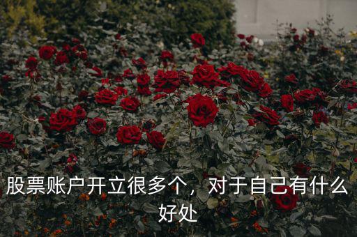 股票賬戶開立很多個，對于自己有什么好處