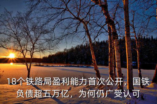 18個(gè)鐵路局盈利能力首次公開，國鐵負(fù)債超五萬億，為何仍廣受認(rèn)可