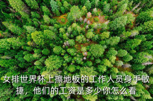 女排世界杯上擦地板的工作人員身手敏捷，他們的工資是多少你怎么看
