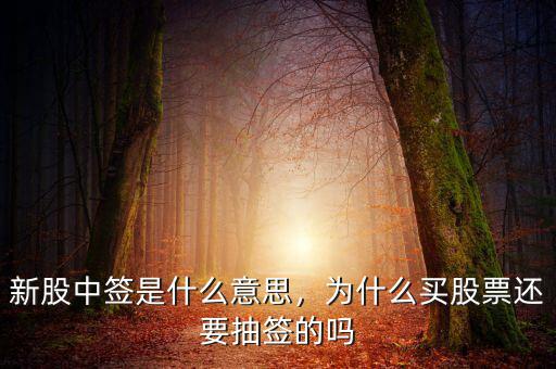 新股中簽是什么意思，為什么買股票還要抽簽的嗎