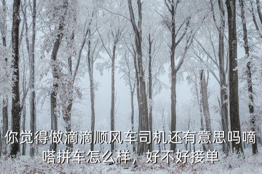 你覺得做滴滴順風(fēng)車司機還有意思嗎嘀嗒拼車怎么樣，好不好接單
