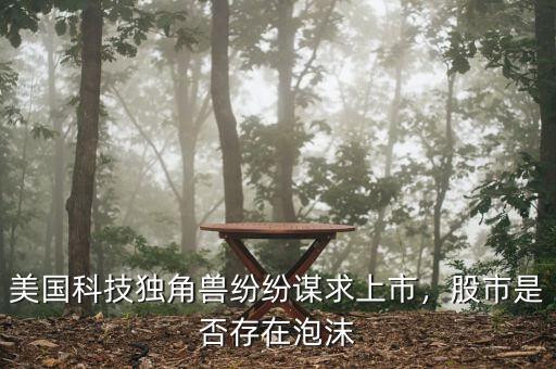 美國科技獨角獸紛紛謀求上市，股市是否存在泡沫