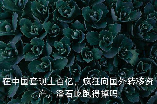 在中國套現(xiàn)上百億，瘋狂向國外轉(zhuǎn)移資產(chǎn)，潘石屹跑得掉嗎