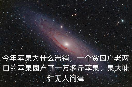 今年蘋果為什么滯銷，一個貧困戶老兩口的蘋果園產(chǎn)了一萬多斤蘋果，果大味甜無人問津