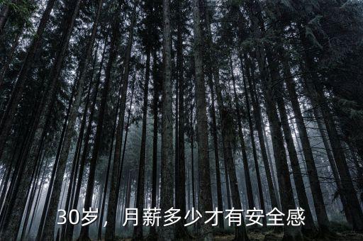 30歲，月薪多少才有安全感