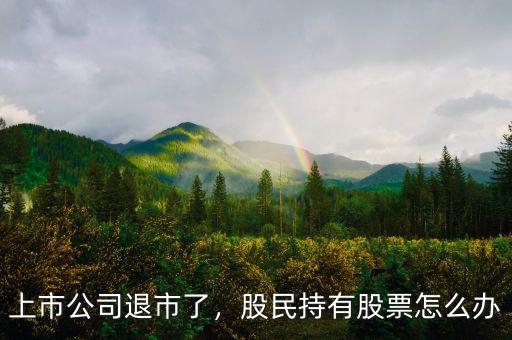 上市公司退市了，股民持有股票怎么辦