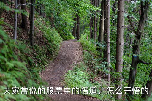 大家常說(shuō)的股票中的悟道，怎么開(kāi)悟的