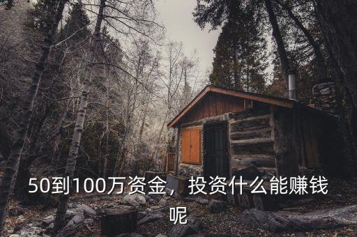 50到100萬資金，投資什么能賺錢呢