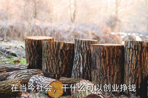 在當今社會，干什么可以創(chuàng)業(yè)掙錢