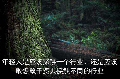 年輕人是應該深耕一個行業(yè)，還是應該敢想敢干多去接觸不同的行業(yè)